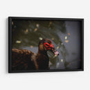 Pato en macro - Alan050 | Cuadro decorativo de Canvas Lab