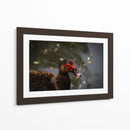 Pato en macro - Alan050 | Cuadro decorativo de Canvas Lab