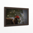 Pato en macro - Alan050 | Cuadro decorativo de Canvas Lab