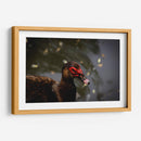 Pato en macro - Alan050 | Cuadro decorativo de Canvas Lab