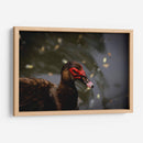 Pato en macro - Alan050 | Cuadro decorativo de Canvas Lab