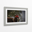 Pato en macro - Alan050 | Cuadro decorativo de Canvas Lab