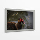 Pato en macro - Alan050 | Cuadro decorativo de Canvas Lab