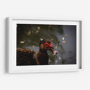 Pato en macro - Alan050 | Cuadro decorativo de Canvas Lab