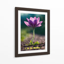 Se tu Misma - DEA Digital Esoteric Art | Cuadro decorativo de Canvas Lab