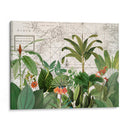 Vida Silvestre Exótica 005 - Andrea Haase | Cuadro decorativo de Canvas Lab