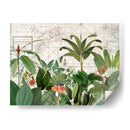 Vida Silvestre Exótica 005 - Andrea Haase | Cuadro decorativo de Canvas Lab