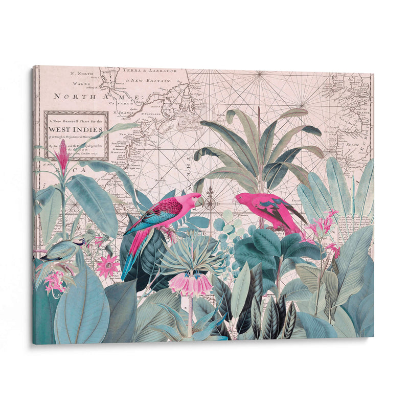 Vida Silvestre Exótica 006 1 - Andrea Haase | Cuadro decorativo de Canvas Lab