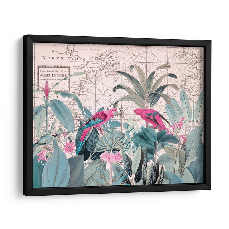 Vida Silvestre Exótica 006 1 - Andrea Haase | Cuadro decorativo de Canvas Lab