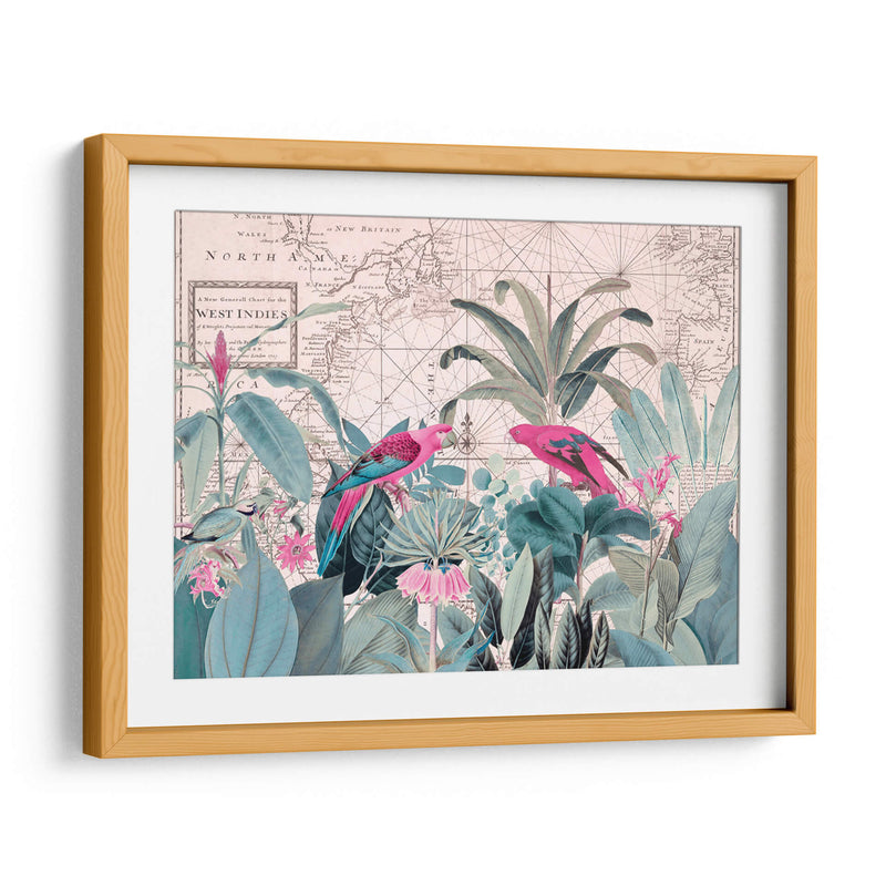 Vida Silvestre Exótica 006 1 - Andrea Haase | Cuadro decorativo de Canvas Lab