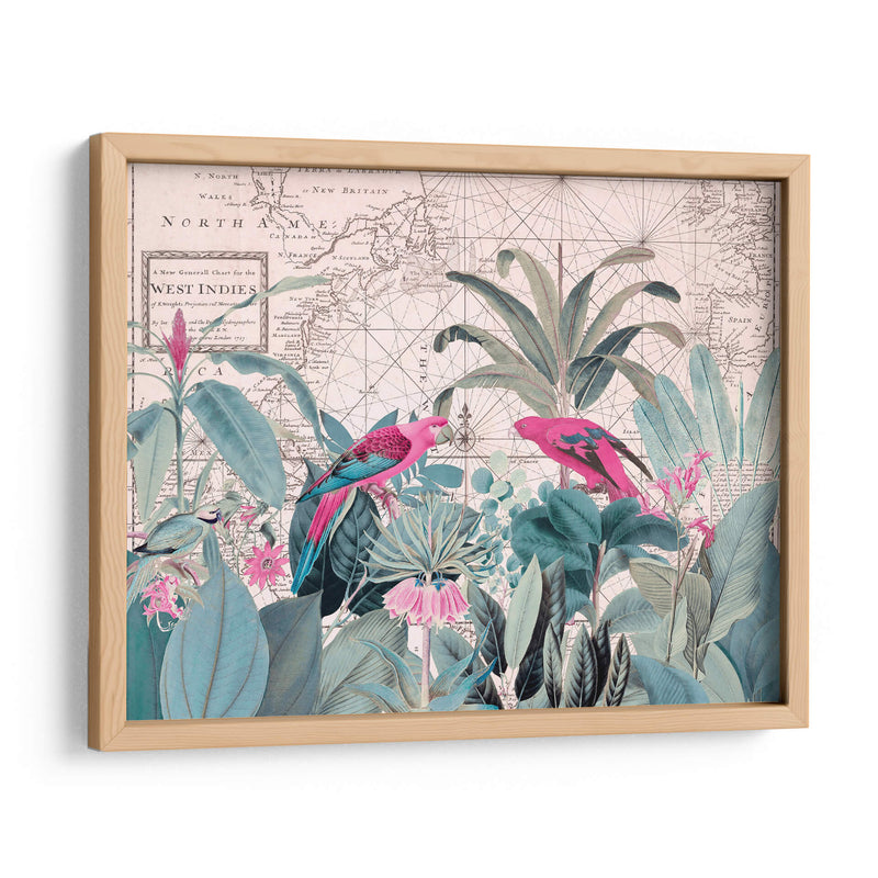 Vida Silvestre Exótica 006 1 - Andrea Haase | Cuadro decorativo de Canvas Lab