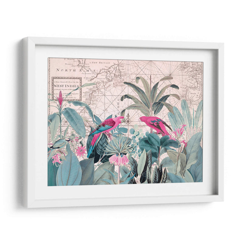 Vida Silvestre Exótica 006 1 - Andrea Haase | Cuadro decorativo de Canvas Lab