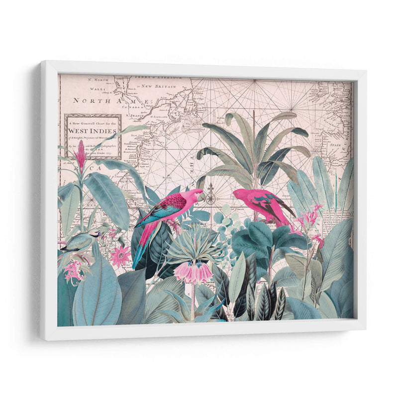 Vida Silvestre Exótica 006 1 - Andrea Haase | Cuadro decorativo de Canvas Lab