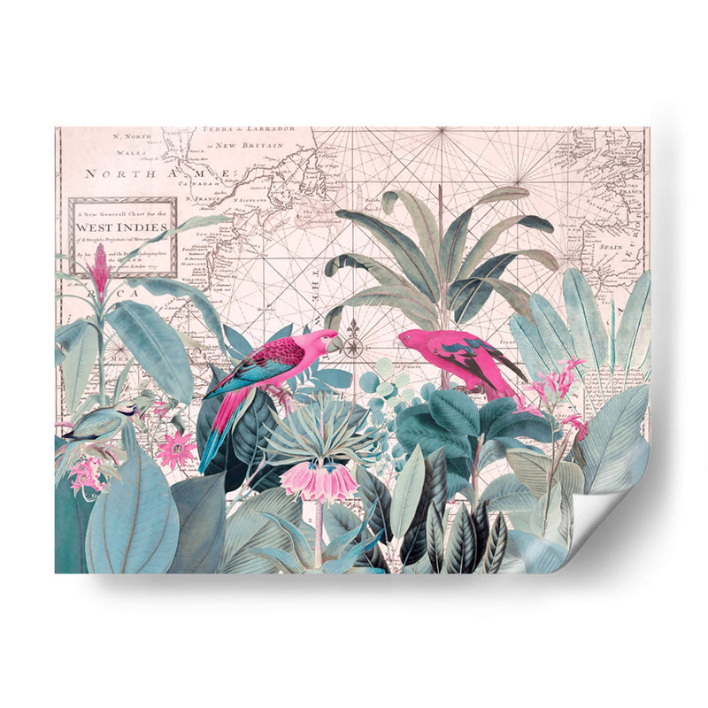 Vida Silvestre Exótica 006 1 - Andrea Haase | Cuadro decorativo de Canvas Lab