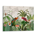 Vida Silvestre Exótica 006 - Andrea Haase | Cuadro decorativo de Canvas Lab