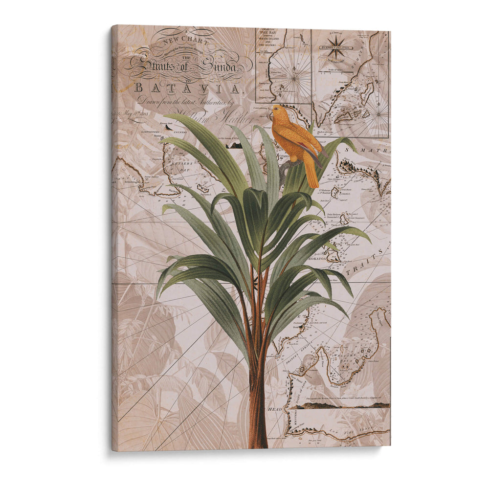 Paraíso de la selva de Indonesia No2 - Andrea Haase | Cuadro decorativo de Canvas Lab