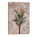 Paraíso de la selva de Indonesia No2 - Andrea Haase | Cuadro decorativo de Canvas Lab