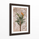 Paraíso de la selva de Indonesia No2 - Andrea Haase | Cuadro decorativo de Canvas Lab