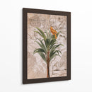 Paraíso de la selva de Indonesia No2 - Andrea Haase | Cuadro decorativo de Canvas Lab