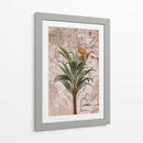Paraíso de la selva de Indonesia No2 - Andrea Haase | Cuadro decorativo de Canvas Lab