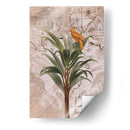 Paraíso de la selva de Indonesia No2 - Andrea Haase | Cuadro decorativo de Canvas Lab