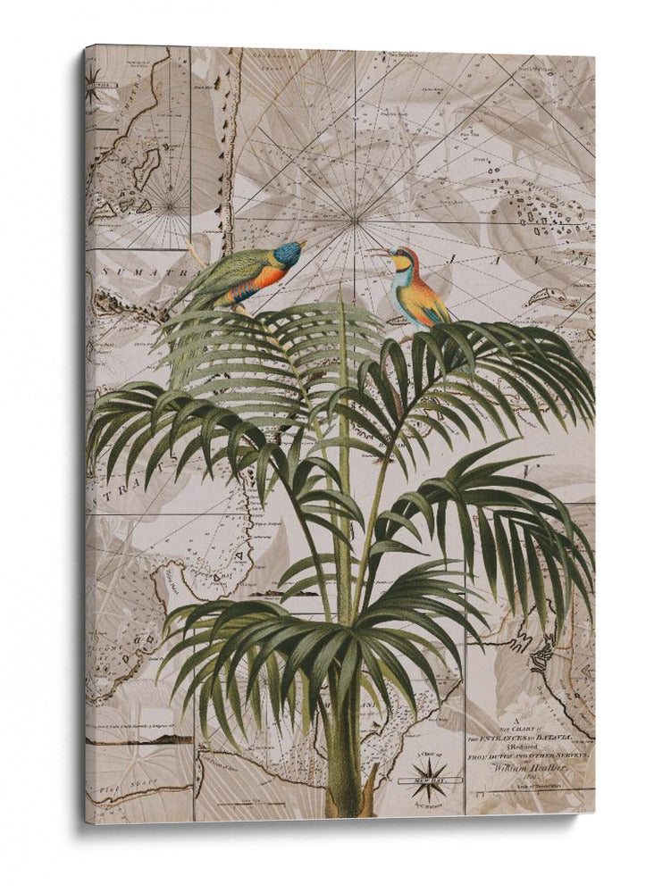 Paraíso de la selva de Indonesia No3 - Andrea Haase | Cuadro decorativo de Canvas Lab