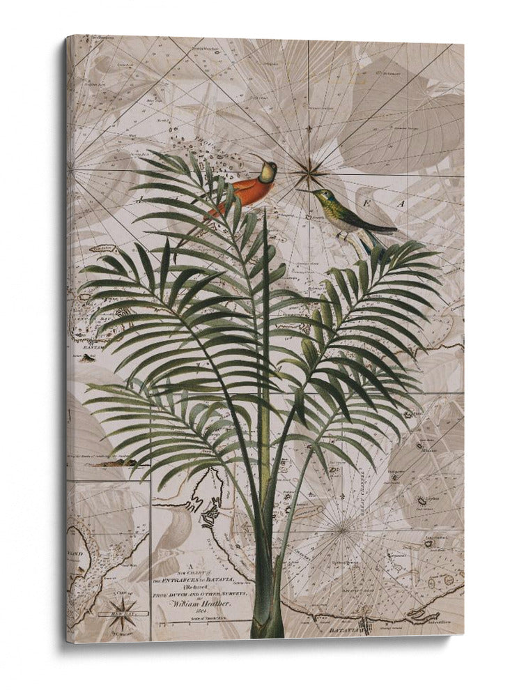 Paraíso de la selva de Indonesia No4 - Andrea Haase | Cuadro decorativo de Canvas Lab