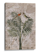 Paraíso de la selva de Indonesia No4 - Andrea Haase | Cuadro decorativo de Canvas Lab