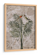 Paraíso de la selva de Indonesia No4 - Andrea Haase | Cuadro decorativo de Canvas Lab