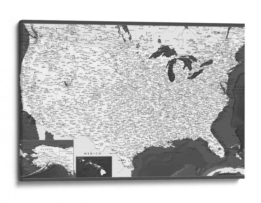 Mapa muy detallado de los Estados Unidos Olson - Rosana Laiz Blursbyai | Cuadro decorativo de Canvas Lab