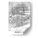 Phoenix - StudioSix | Cuadro decorativo de Canvas Lab