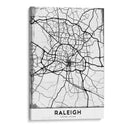 Raleigh - StudioSix | Cuadro decorativo de Canvas Lab