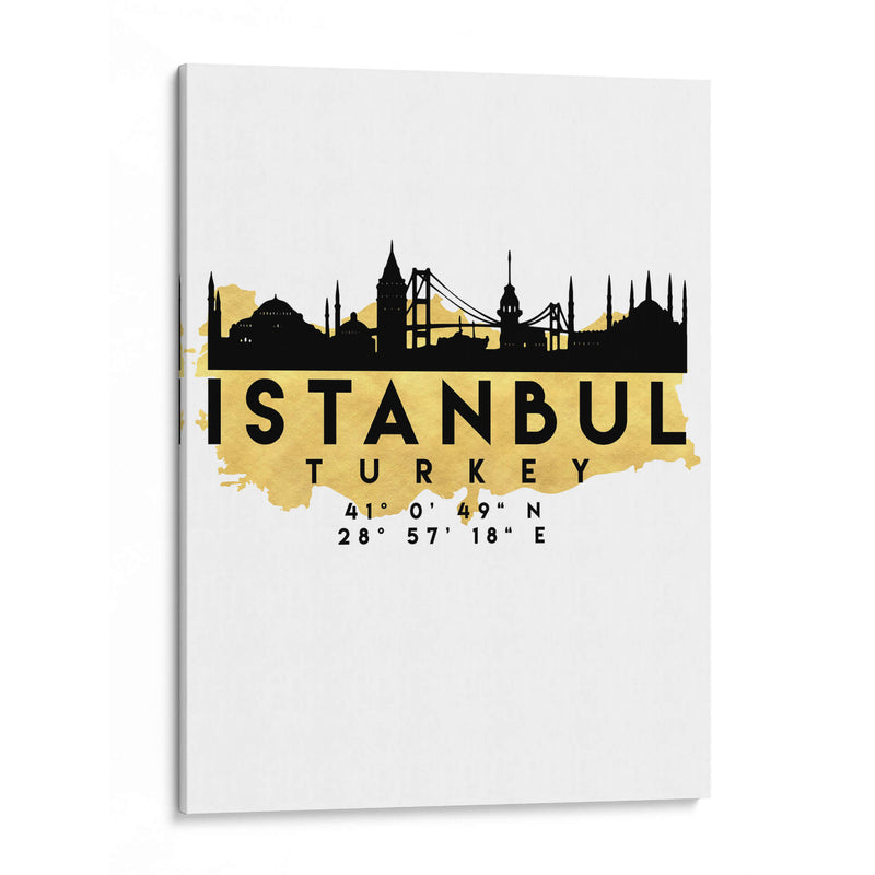 Istanbul - 0064 ciudad - Emiliano Deificus | Cuadro decorativo de Canvas Lab