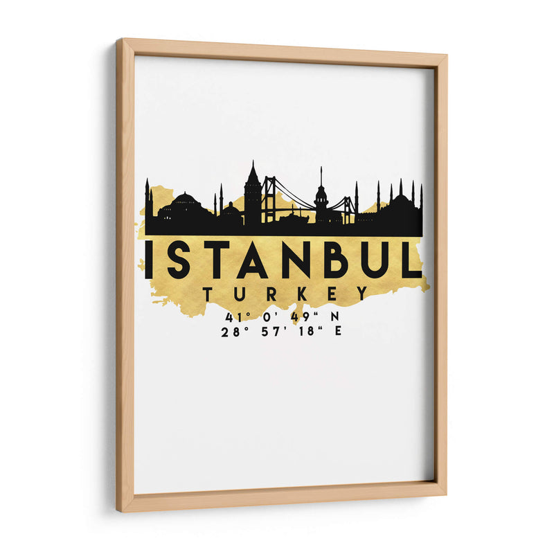 Istanbul - 0064 ciudad - Emiliano Deificus | Cuadro decorativo de Canvas Lab