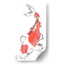 Pez KOI  - GasG | Cuadro decorativo de Canvas Lab