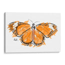Mariposa  - GasG | Cuadro decorativo de Canvas Lab