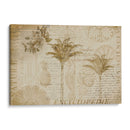 Enciclopedia Tropical - Andrea Haase | Cuadro decorativo de Canvas Lab