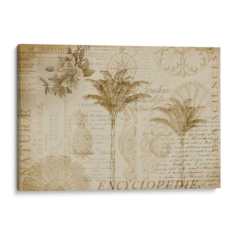 Enciclopedia Tropical - Andrea Haase | Cuadro decorativo de Canvas Lab