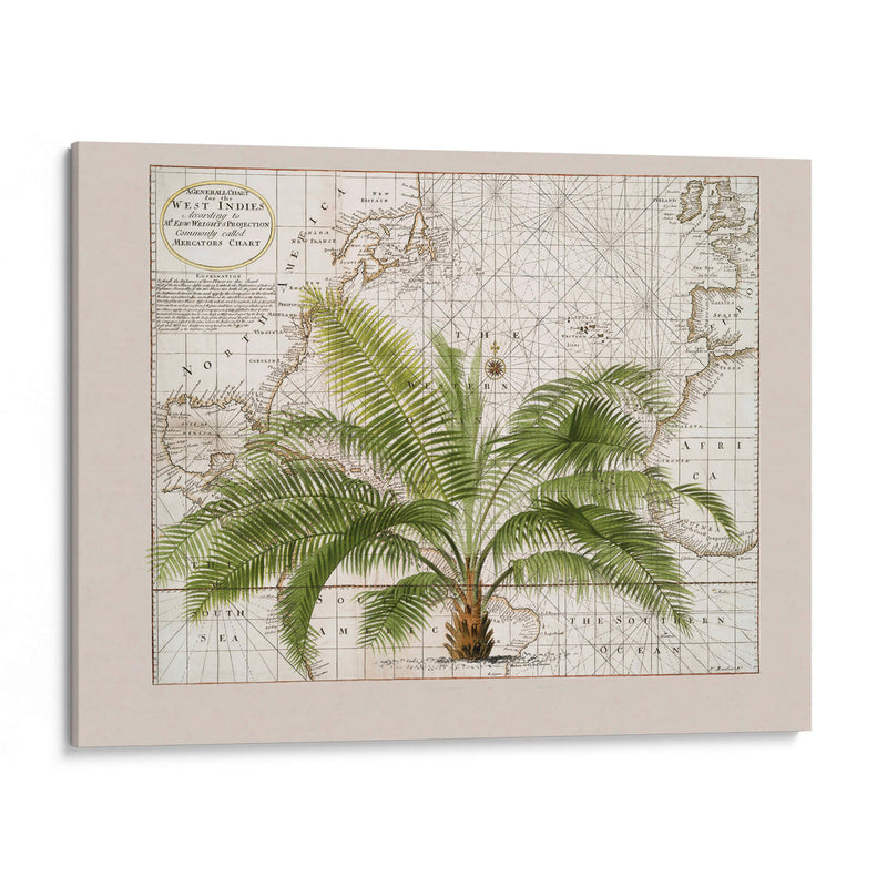 Imperio Tropical No1 - Andrea Haase | Cuadro decorativo de Canvas Lab