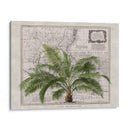 Imperio Tropical No2 - Andrea Haase | Cuadro decorativo de Canvas Lab