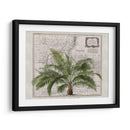 Imperio Tropical No2 - Andrea Haase | Cuadro decorativo de Canvas Lab