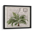 Imperio Tropical No2 - Andrea Haase | Cuadro decorativo de Canvas Lab