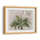 Imperio Tropical No2 - Andrea Haase | Cuadro decorativo de Canvas Lab