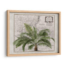 Imperio Tropical No2 - Andrea Haase | Cuadro decorativo de Canvas Lab