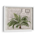 Imperio Tropical No2 - Andrea Haase | Cuadro decorativo de Canvas Lab