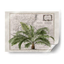 Imperio Tropical No2 - Andrea Haase | Cuadro decorativo de Canvas Lab