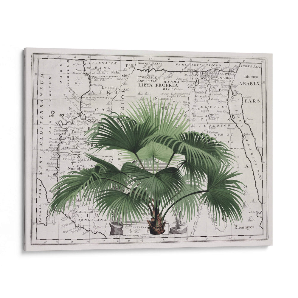 Imperio Tropical No3 - Andrea Haase | Cuadro decorativo de Canvas Lab