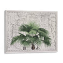 Imperio Tropical No3 - Andrea Haase | Cuadro decorativo de Canvas Lab