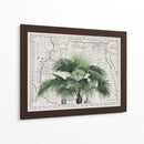 Imperio Tropical No3 - Andrea Haase | Cuadro decorativo de Canvas Lab