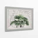 Imperio Tropical No3 - Andrea Haase | Cuadro decorativo de Canvas Lab